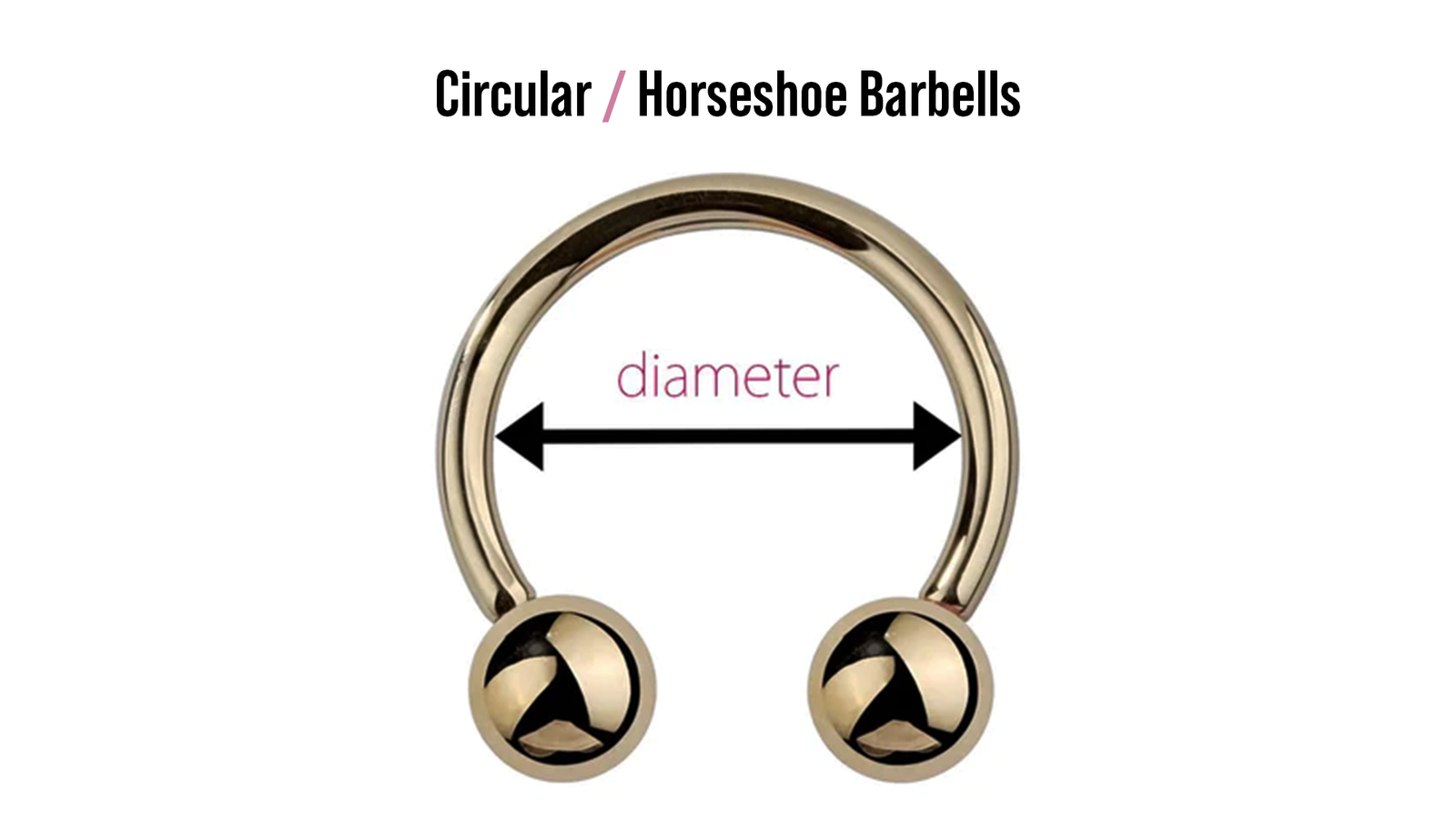 Circular-Barbells---Horseshoe-barbells
