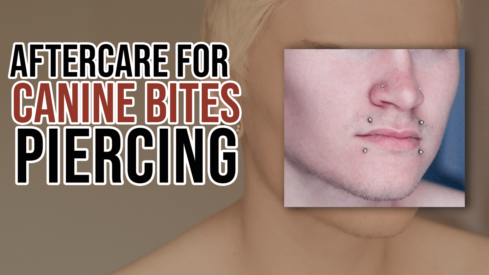 Aftercare for Canine Bites Piercing