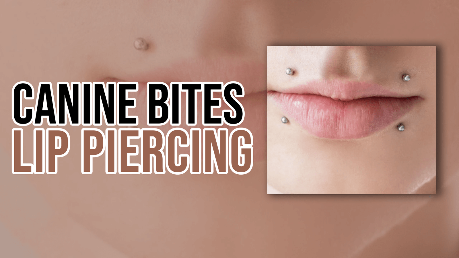 Canine Bites Lip Piercing