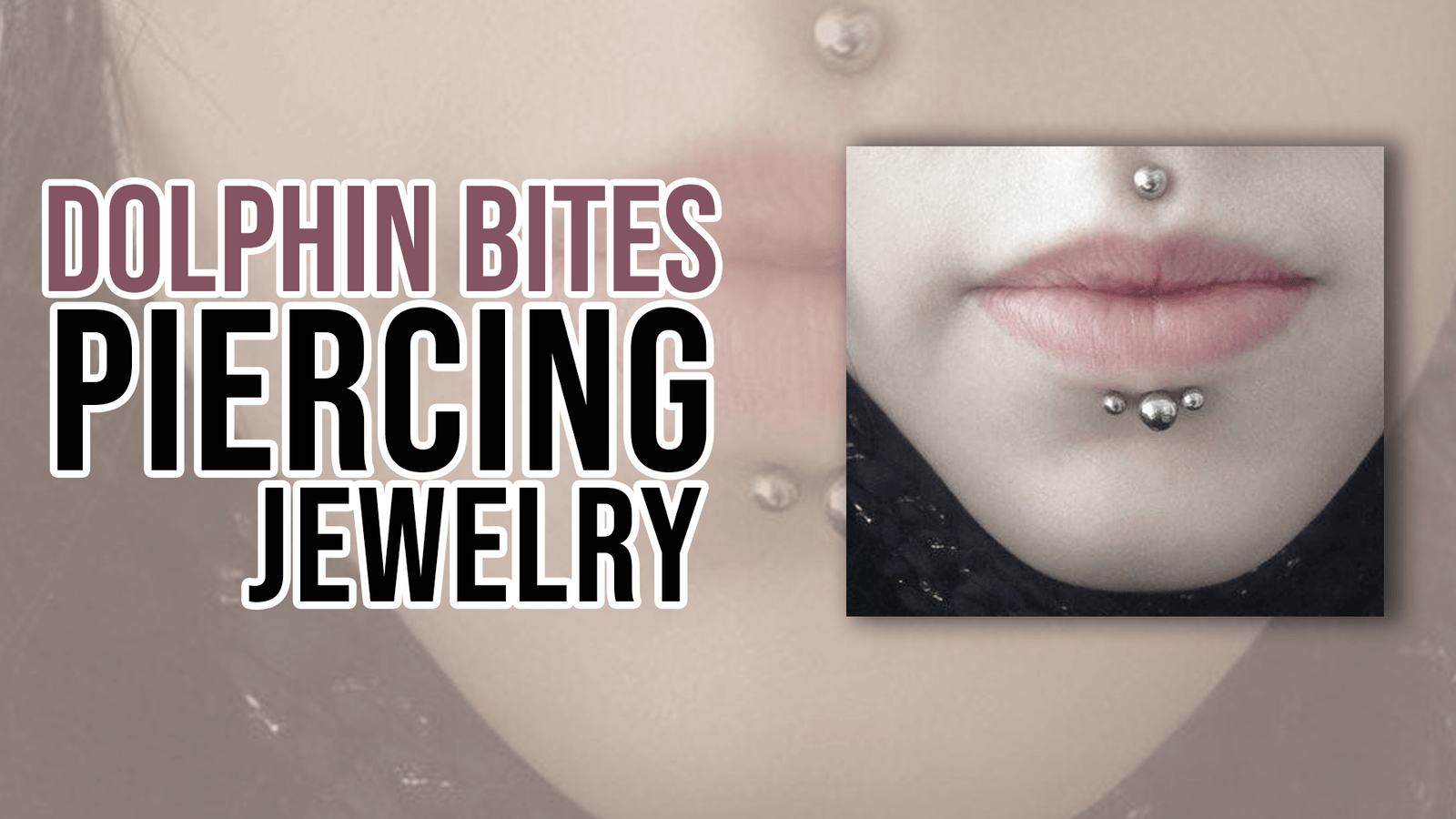 Dolphin Bites Piercing Jewelry