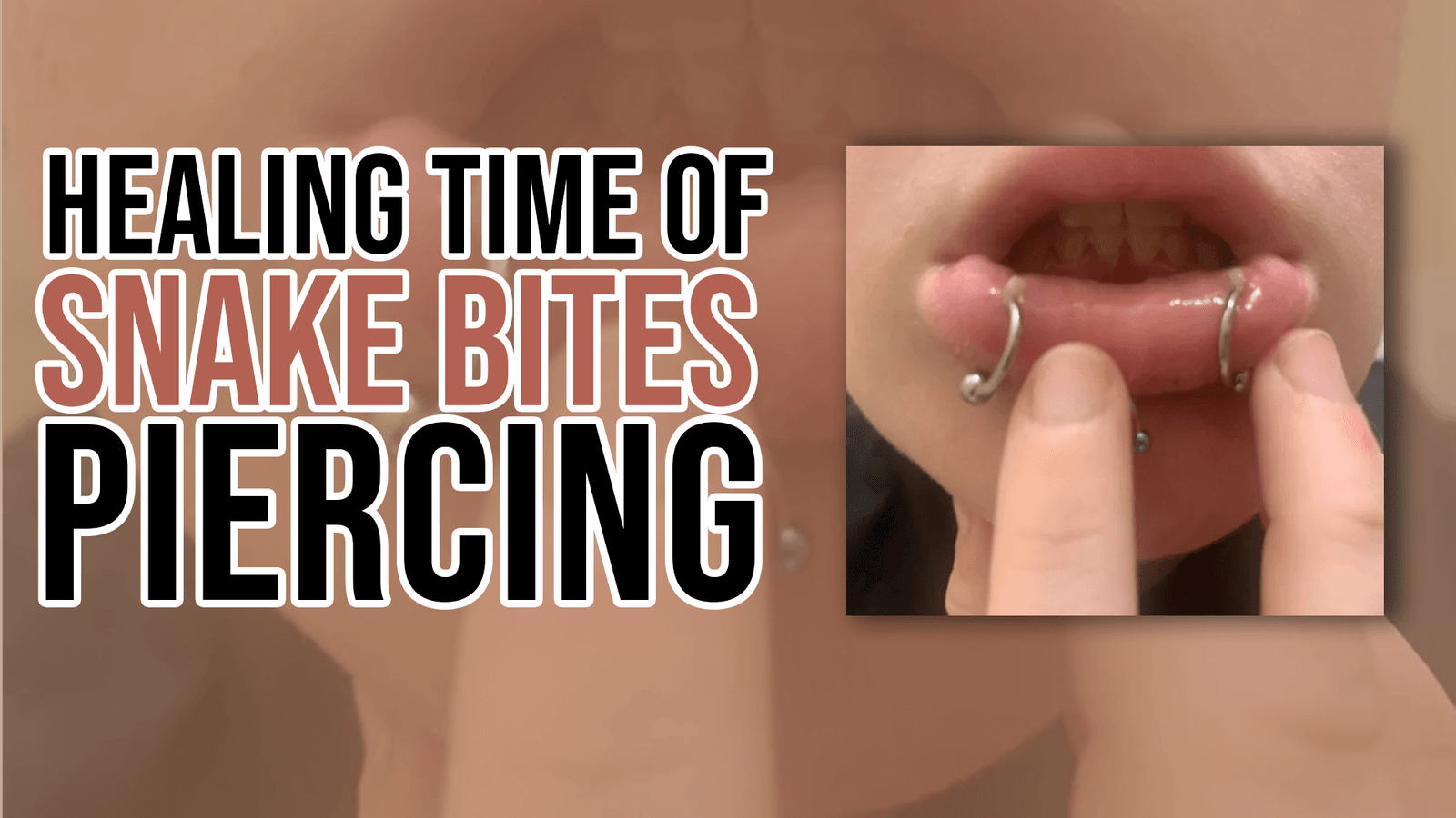 Healing Time of Snake Bites Piercing