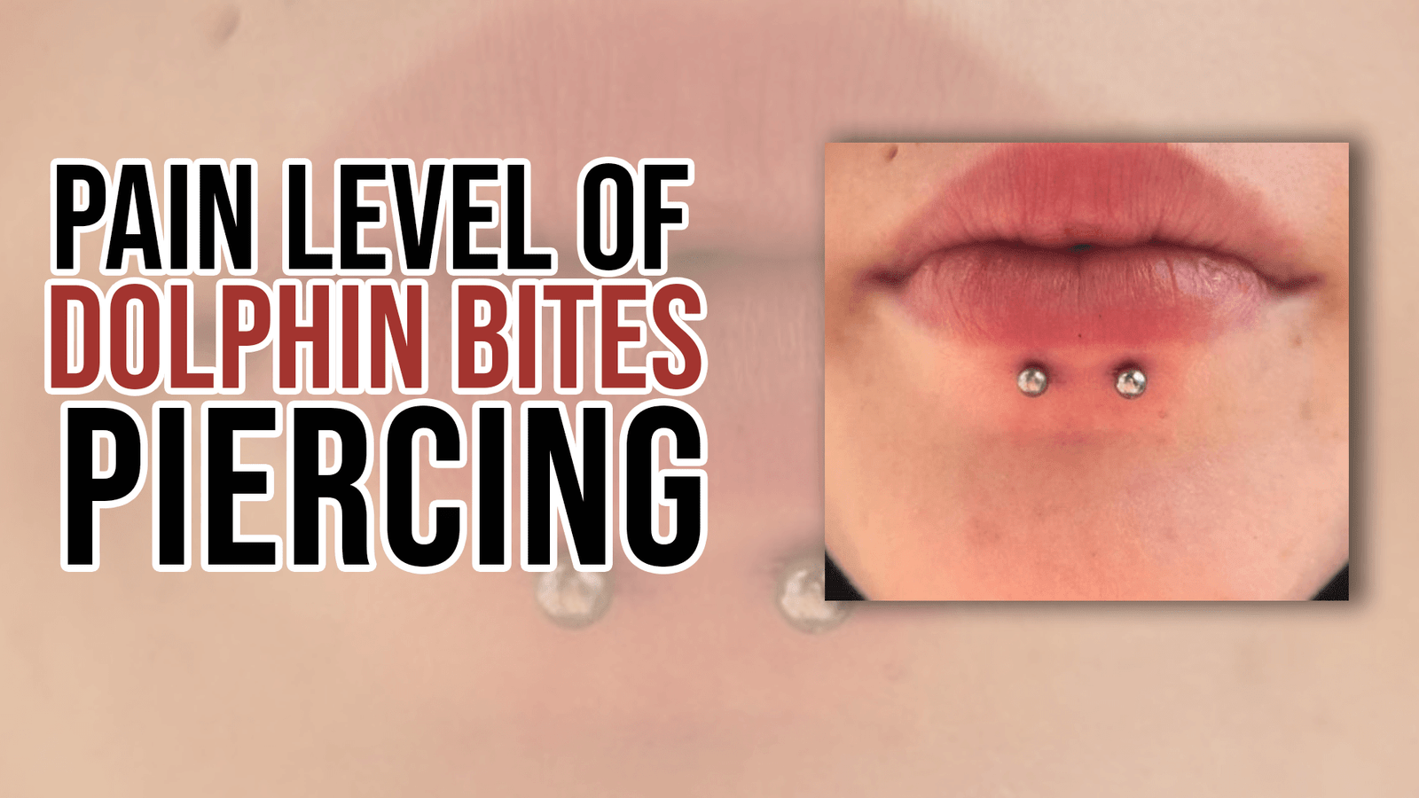 Pain Level of Dolphin Bites Piercing