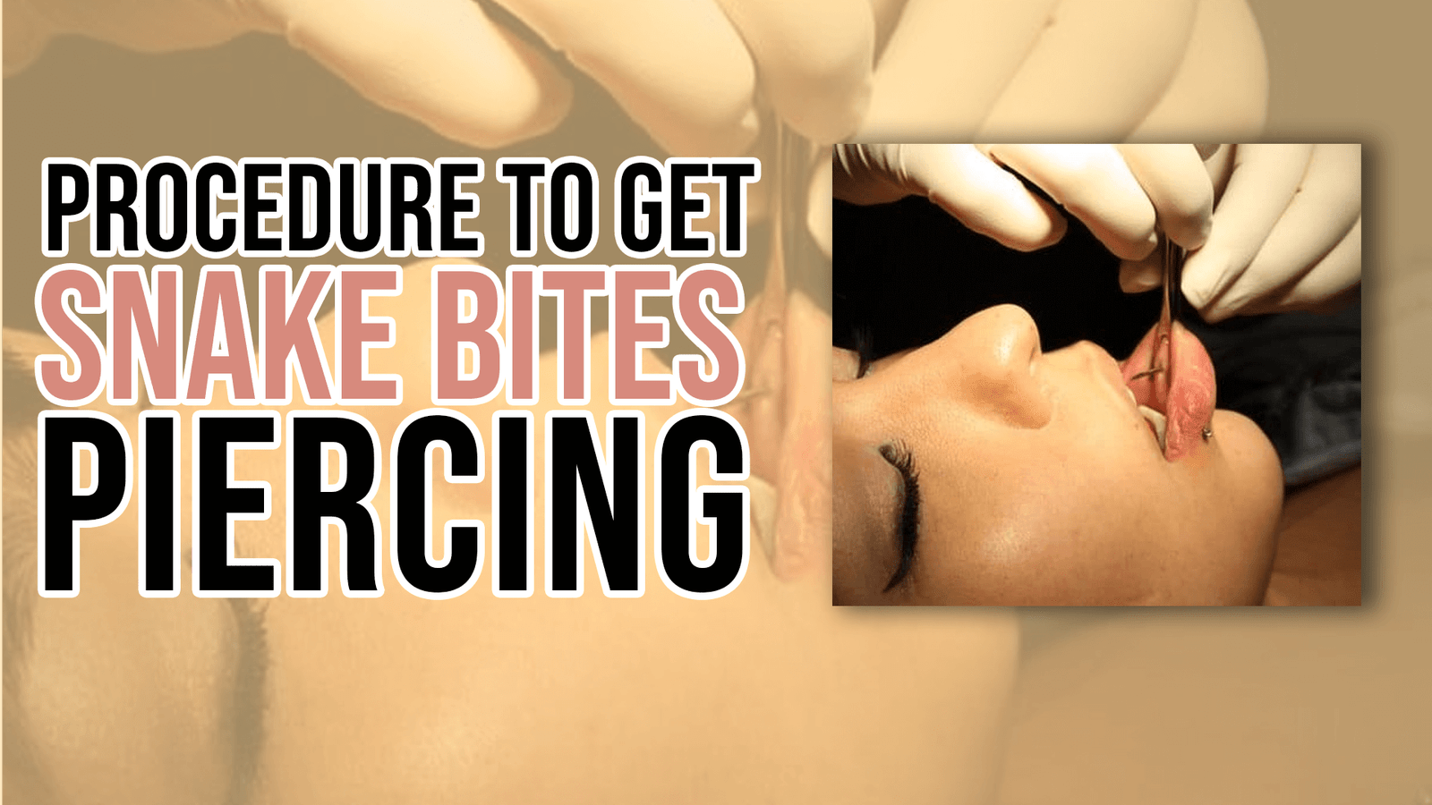 Procedure to get Snake Bites Piercing