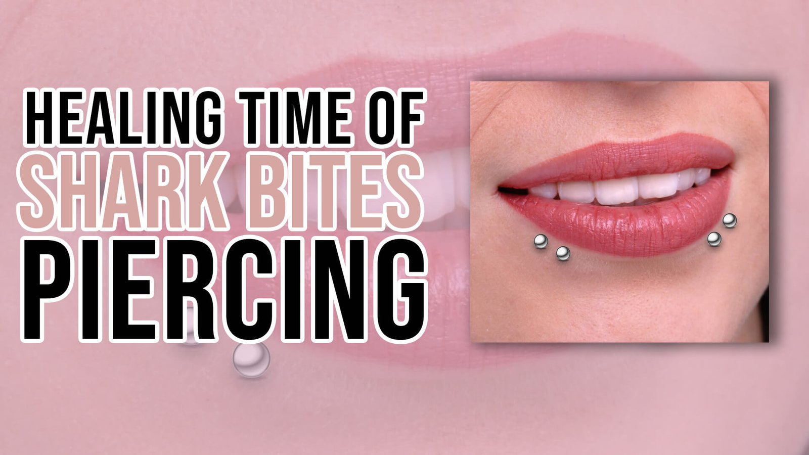 Healing Time of Shark Bites Piercing