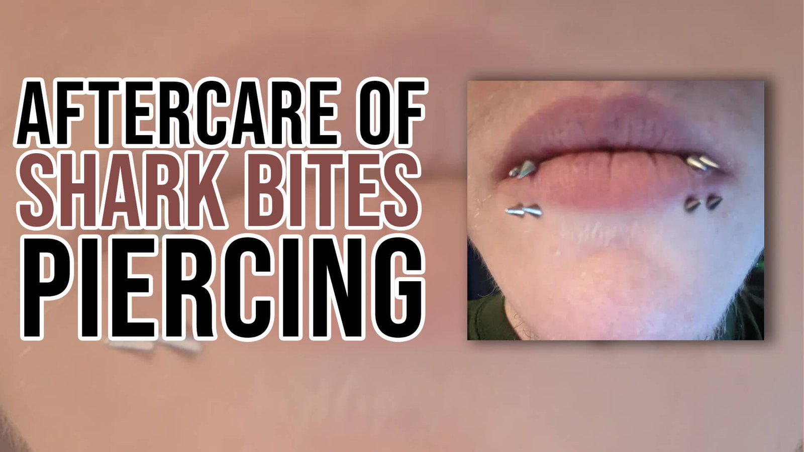 aftercare of shark bites piercing