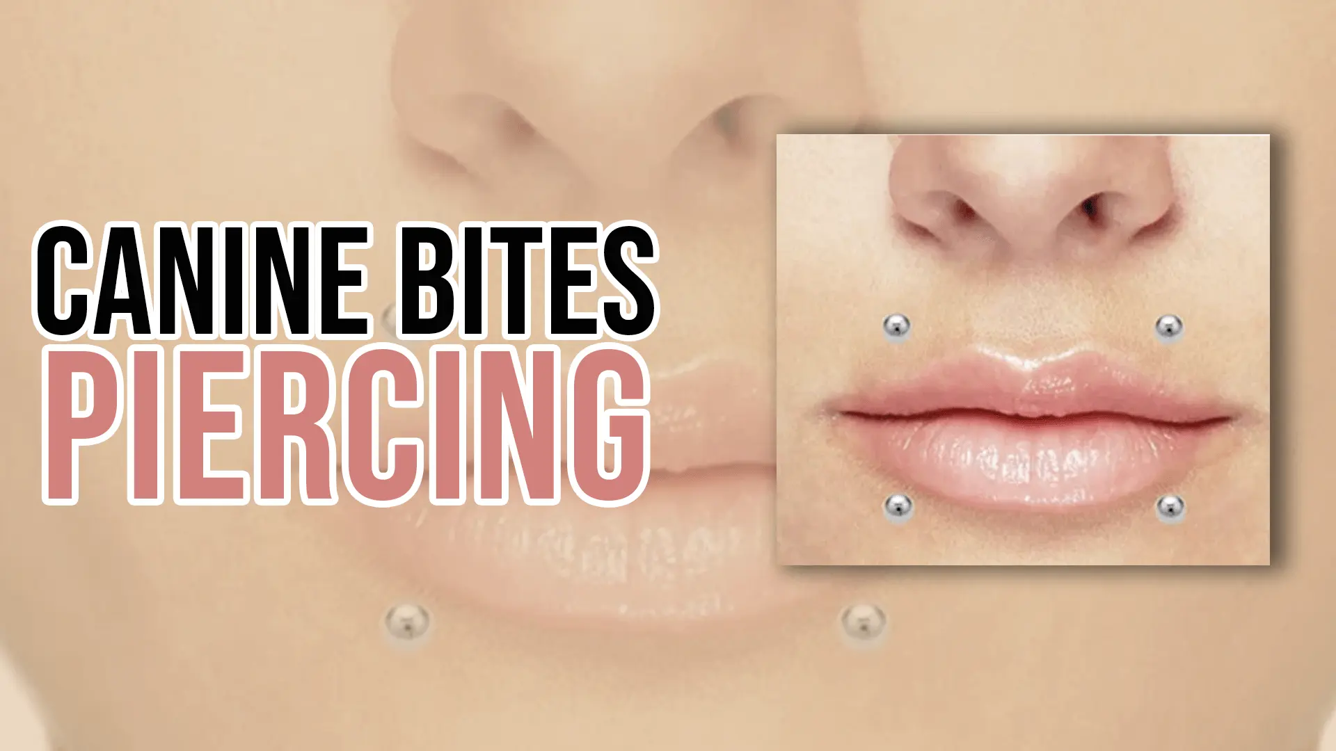 canine bites piercing